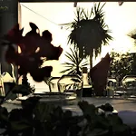 Saranda Hotel 3*