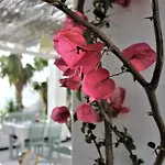 Saranda Hotel 3* Sarandë