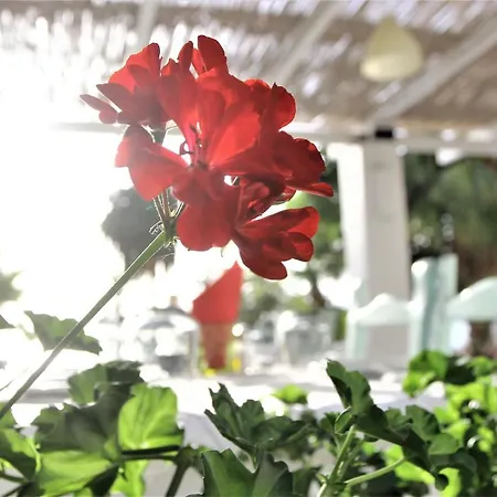 Hotel Saranda Hotel 3*