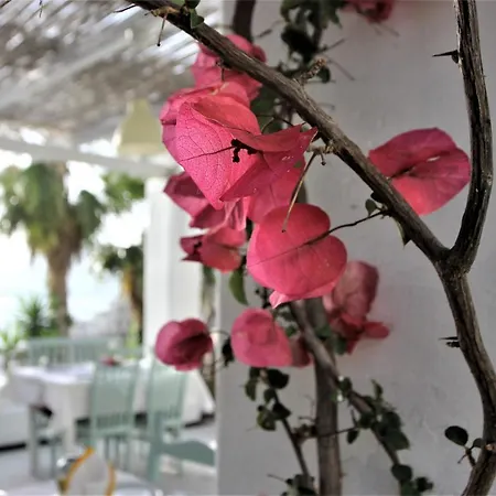 Saranda Hotel 3* Sarandë