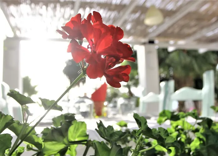 酒店 萨兰达酒店 3*