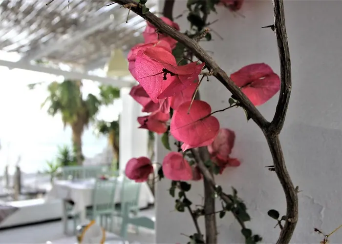 Saranda Hotel 3* Sarande